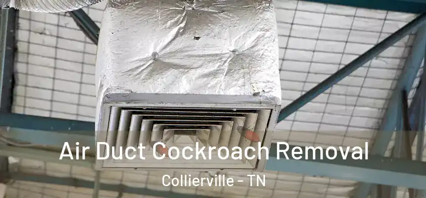  Air Duct Cockroach Removal Collierville - TN