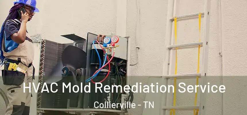  HVAC Mold Remediation Service Collierville - TN