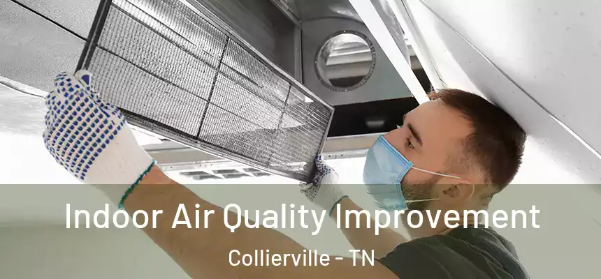 Indoor Air Quality Improvement Collierville - TN