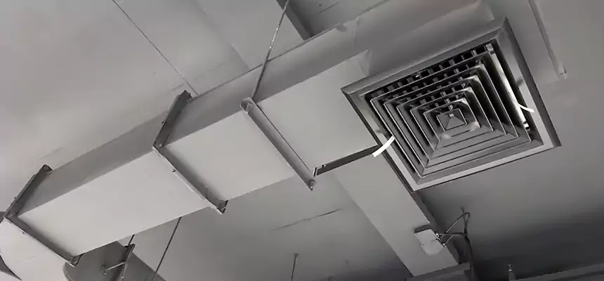 Restorative Allergy Relief Vent Cleaning – Coil, Blower & Housing Detail in Collierville