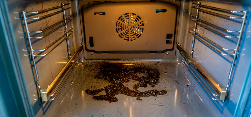 Our Dryer Vent Mold Cleaning Services in Collierville, TN