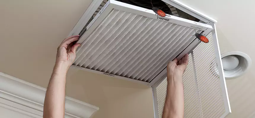Our Insect Removal from Air Ducts Services in Collierville, TN