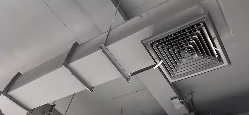 Our Pest Removal From Ducts Services in Collierville, TN