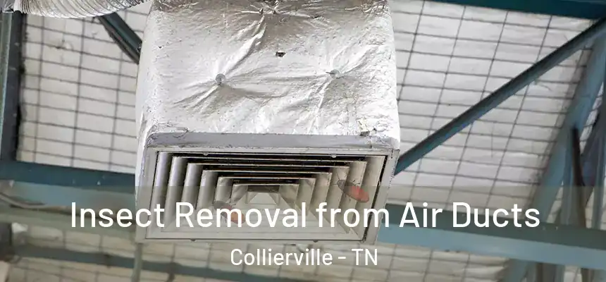  Insect Removal from Air Ducts Collierville - TN