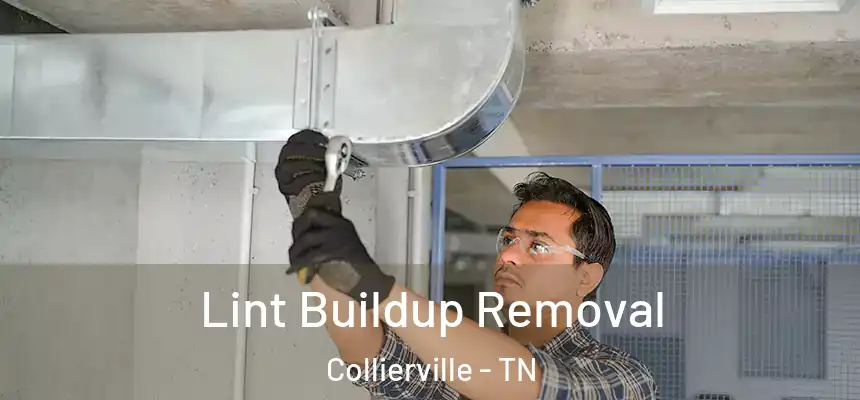  Lint Buildup Removal Collierville - TN