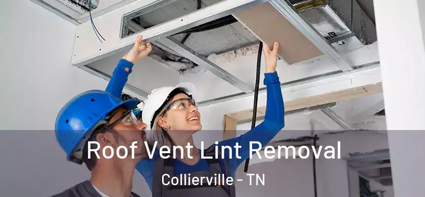 Roof Vent Lint Removal Collierville - TN