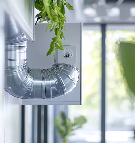 Professional Eco-Safe Dryer Vent Cleaning in Collierville, TN