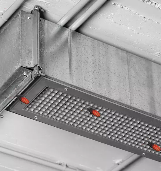 Affordable Insect Removal from Air Ducts in Collierville, TN