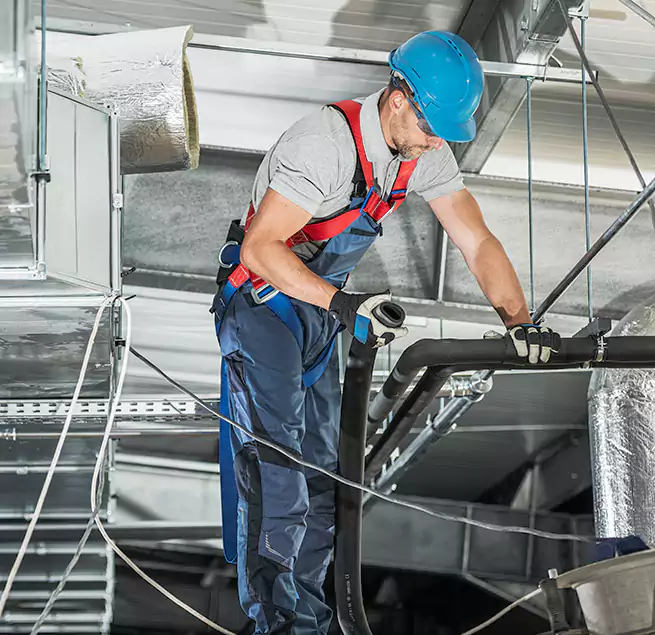 Why Homeowners & Businesses Trust Us in Collierville, TN?