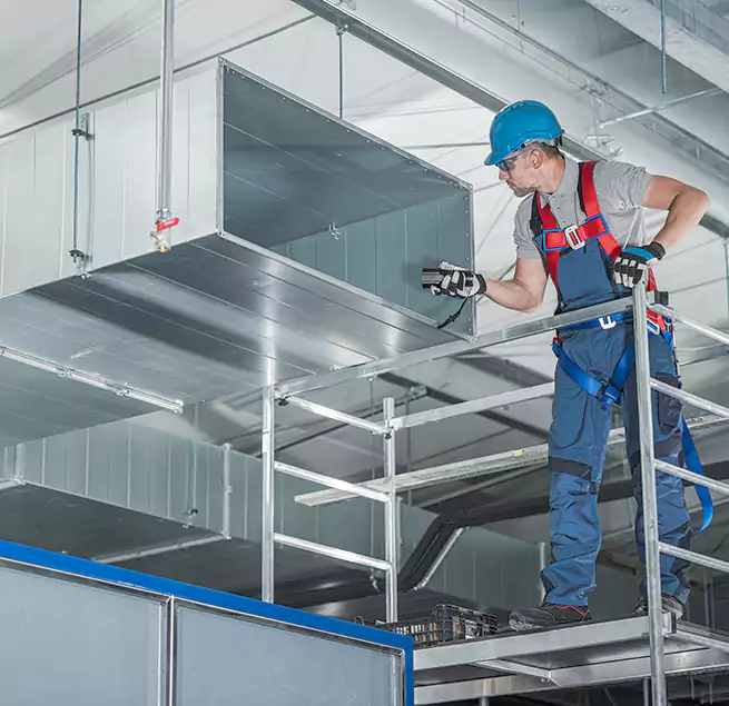 Why Homeowners & Businesses Trust Us in Collierville, TN?