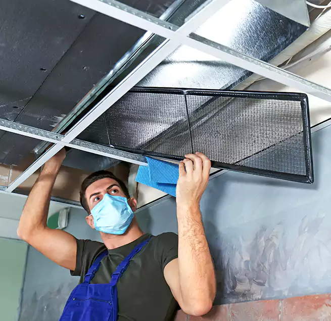 Why Homeowners Businesses Trust Us in Collierville, TN