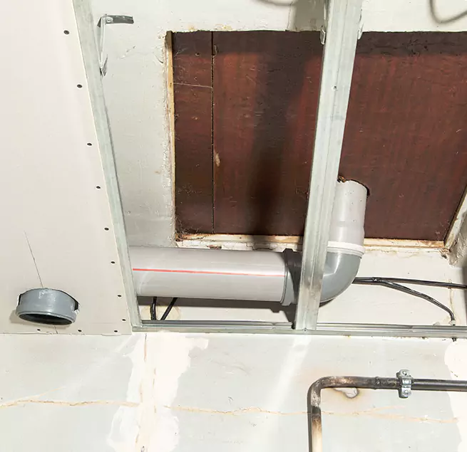 Why Homeowners & Businesses Trust Us in Collierville, TN?