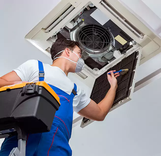 Why Homeowners & Businesses Trust Us in Collierville, TN