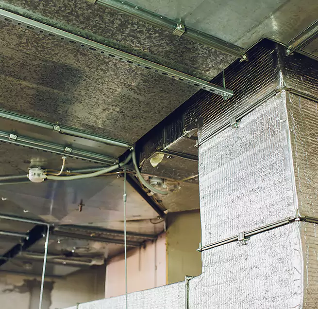 Why Homeowners & Businesses Trust Us in Collierville, TN?